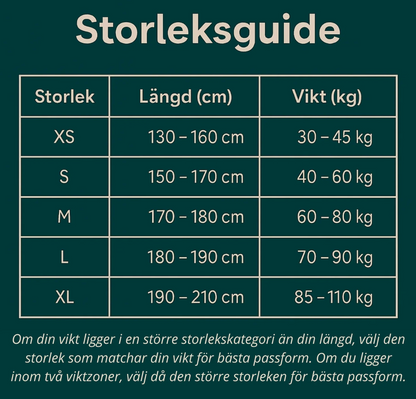 Ledora™ PostureSupport Pro – Ergonomiskt ryggstöd för bättre hållning & mindre smärta